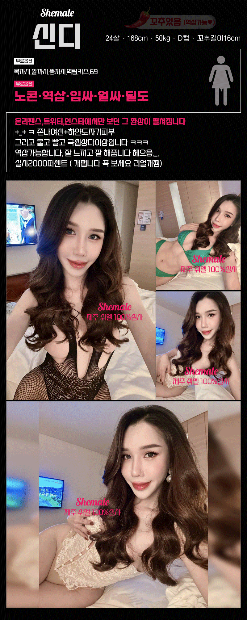 신디 (1).gif