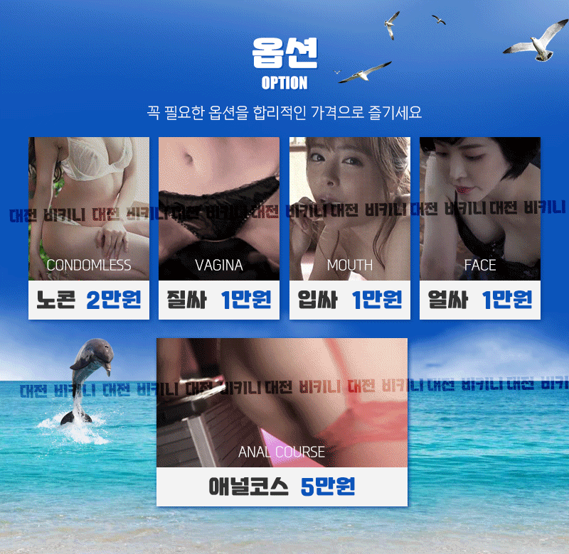 04옵션.gif